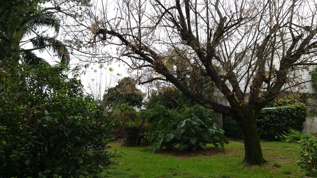 jardin